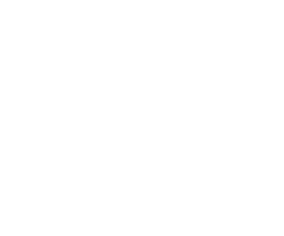 Election Management Services